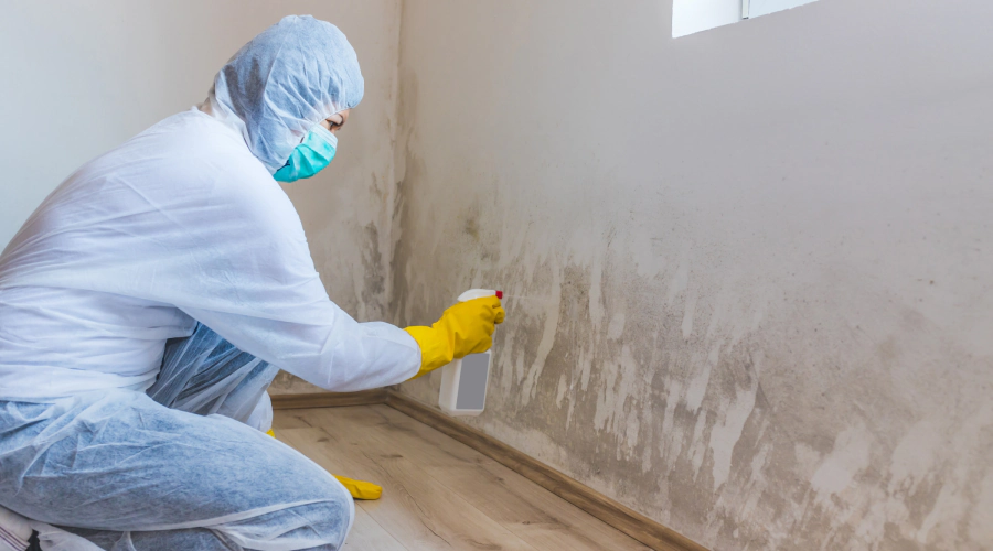 Mold Remediation