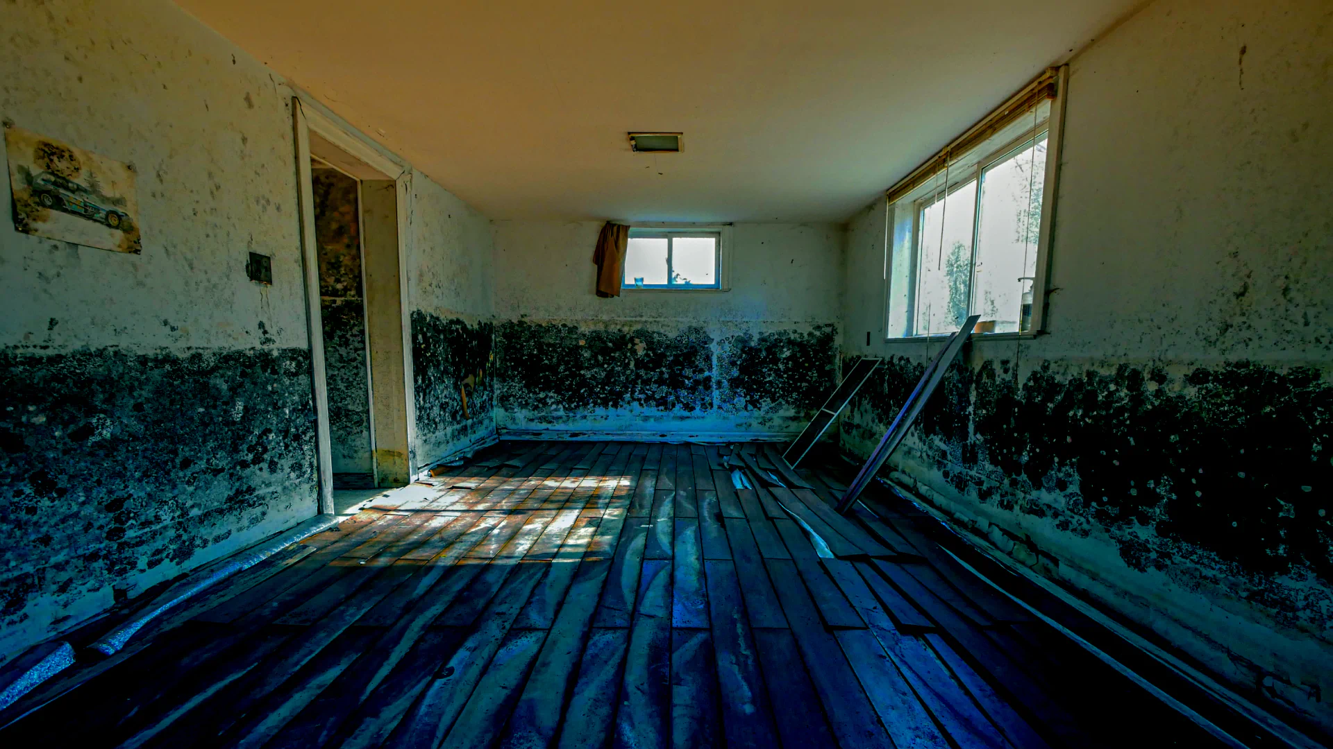 mold remediate slider